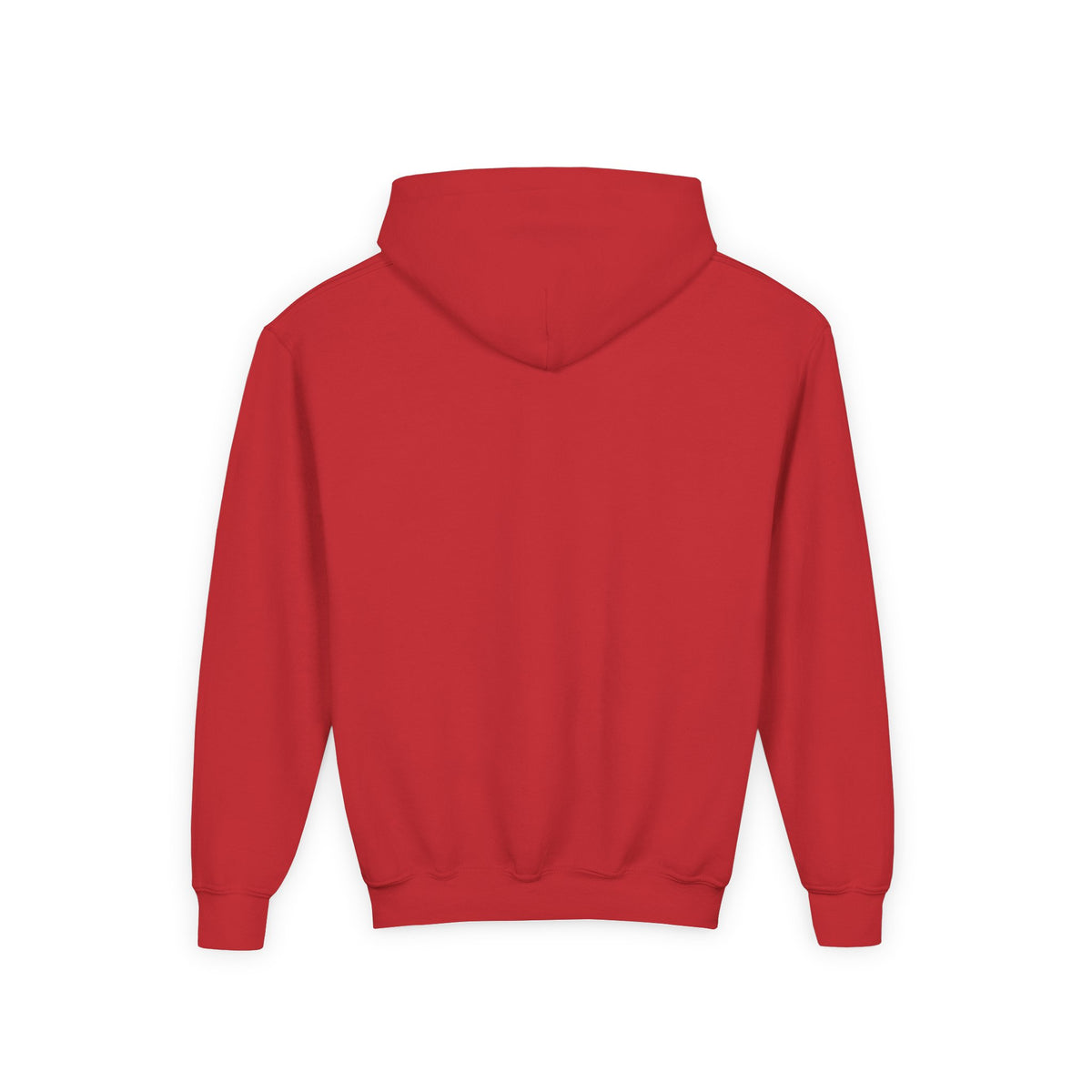 Wholeness Youth Hoodie – Vintage 'EST. 1995' Arch Logo