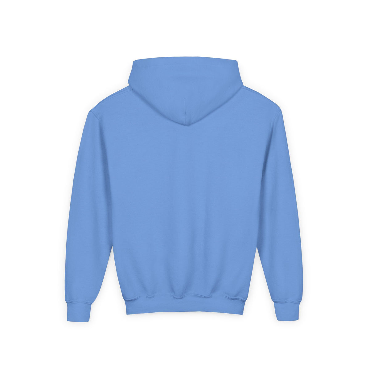 Wholeness Youth Hoodie – Vintage 'EST. 1995' Arch Logo