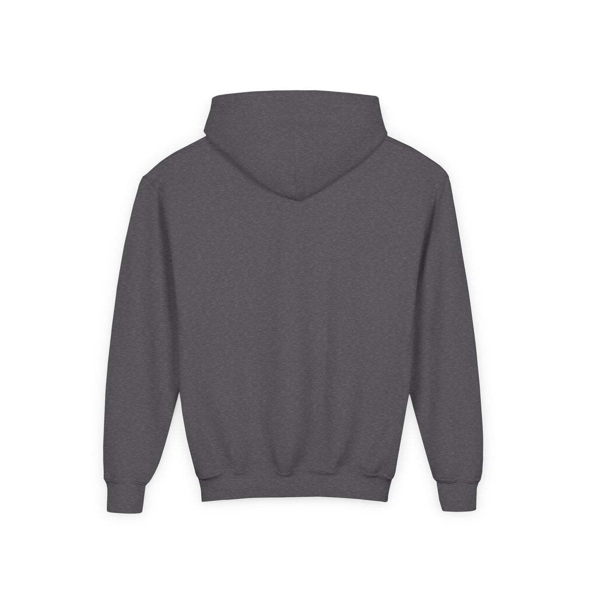 Wholeness Youth Hoodie – Vintage 'EST. 1995' Arch Logo