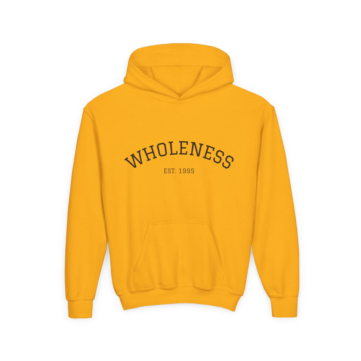 Wholeness Youth Hoodie – Vintage 'EST. 1995' Arch Logo