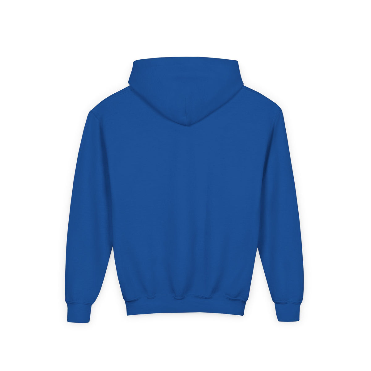 Wholeness Youth Hoodie – Vintage 'EST. 1995' Arch Logo