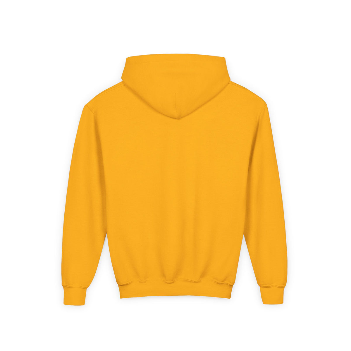 Wholeness Youth Hoodie – Vintage 'EST. 1995' Arch Logo