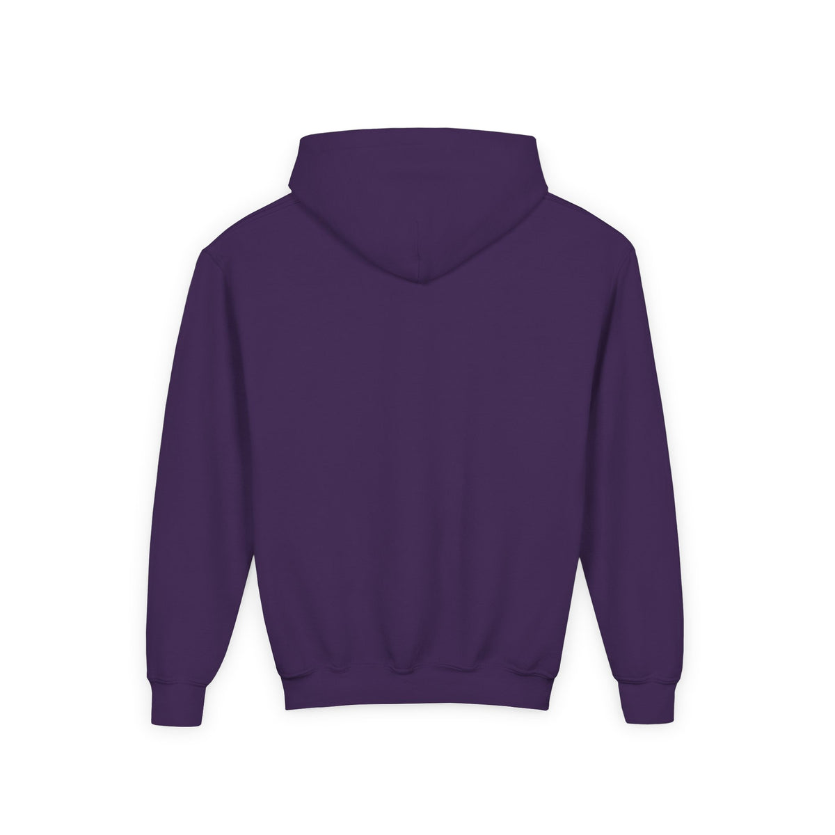 Wholeness Youth Hoodie – Vintage 'EST. 1995' Arch Logo